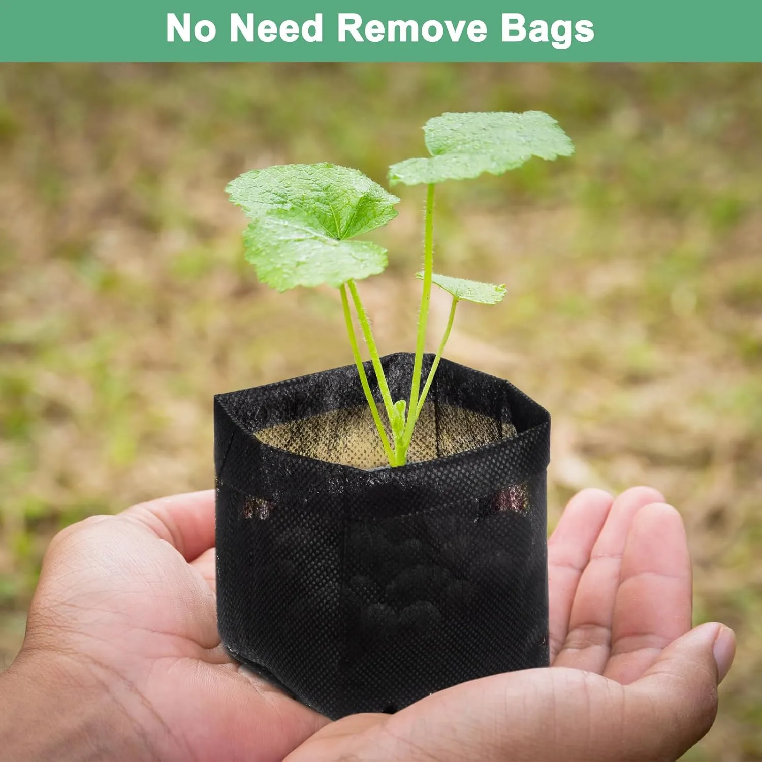 100-Pack Nursery Growing Bags, 7.9" x 6.9" Non-Woven Plant Nursery Bags, Fabric Seeding Pots Pouch for Seed Starting/Soil Transplant/Home Garden Supply [Black]