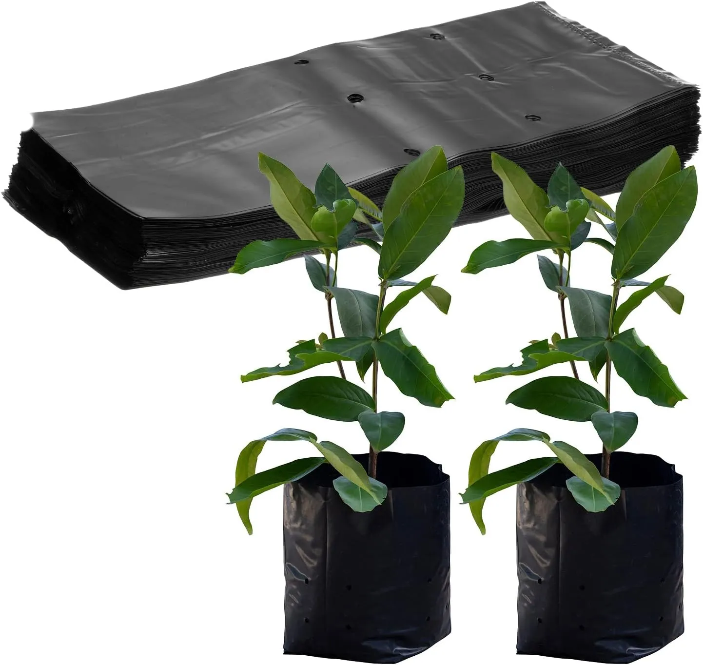50-Pack Nursery Growing Bags, 9.4" x 12.2" Thicken Plastic Nursery Bags, Gardening Seed Plant Bags for Potato/Flower/Tomato/Plant Starts/Home Gardening Supplies [Black]