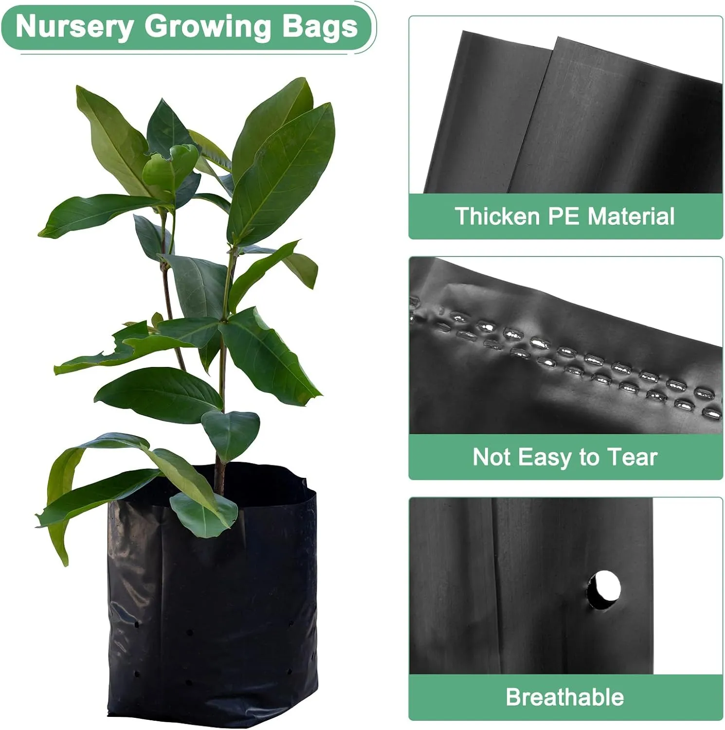 50-Pack Nursery Growing Bags, 9.4" x 12.2" Thicken Plastic Nursery Bags, Gardening Seed Plant Bags for Potato/Flower/Tomato/Plant Starts/Home Gardening Supplies [Black]