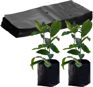 50-Pack Nursery Growing Bags, 9.4" x 12.2" Thicken Plastic Nursery Bags, Gardening Seed Plant Bags for Potato/Flower/Tomato/Plant Starts/Home Gardening Supplies [Black]