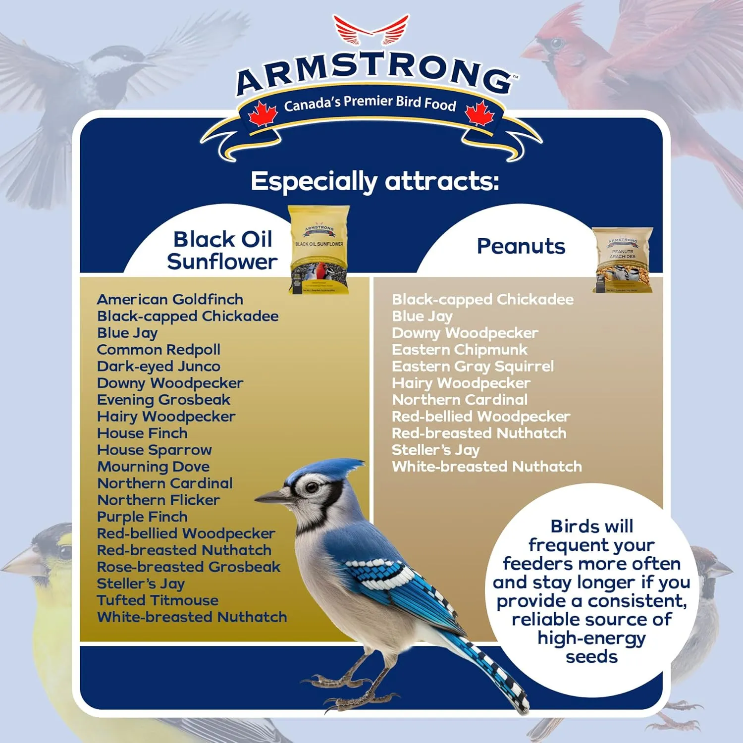 Armstrong Wild Bird Food Combo Pack - Black Oil Sunflower Bird Seed, 25 Pounds and Peanut Halves Bird Seed, 4.4 Pounds - High Protein Source - Ideal for Outside Feeders