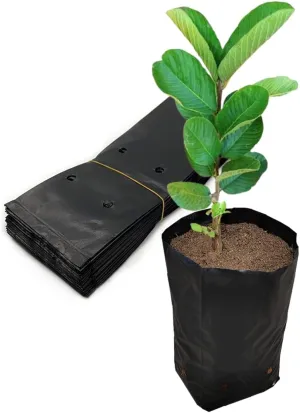 Belit Nursery Growing Bags, 100 Pcs Black Plastic Seedling Pots for Gardening Seed Plant Bags, Fruit Tree Seedling, Starting saplings(7"x8.7")