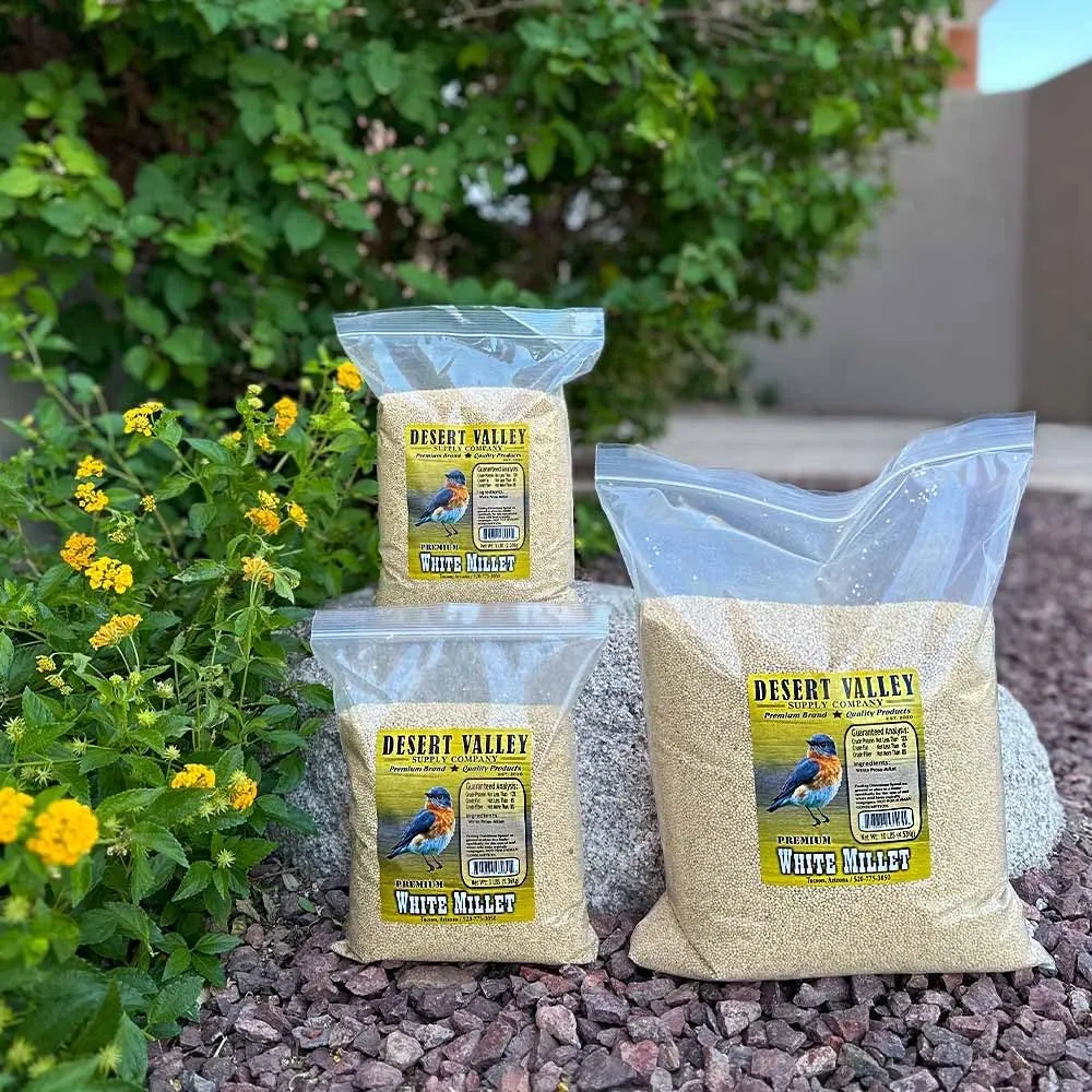Desert Valley White Millet Seed, All Natural, Non-GMO Premium Wild Bird Food for Cardinals, Finch, Song Birds, Buntings and More (5 Pounds)