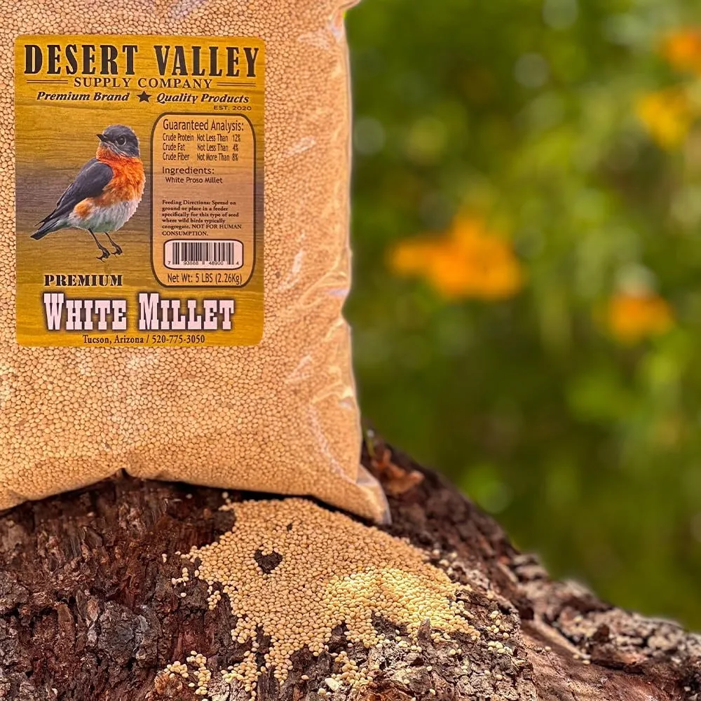 Desert Valley White Millet Seed, All Natural, Non-GMO Premium Wild Bird Food for Cardinals, Finch, Song Birds, Buntings and More (5 Pounds)