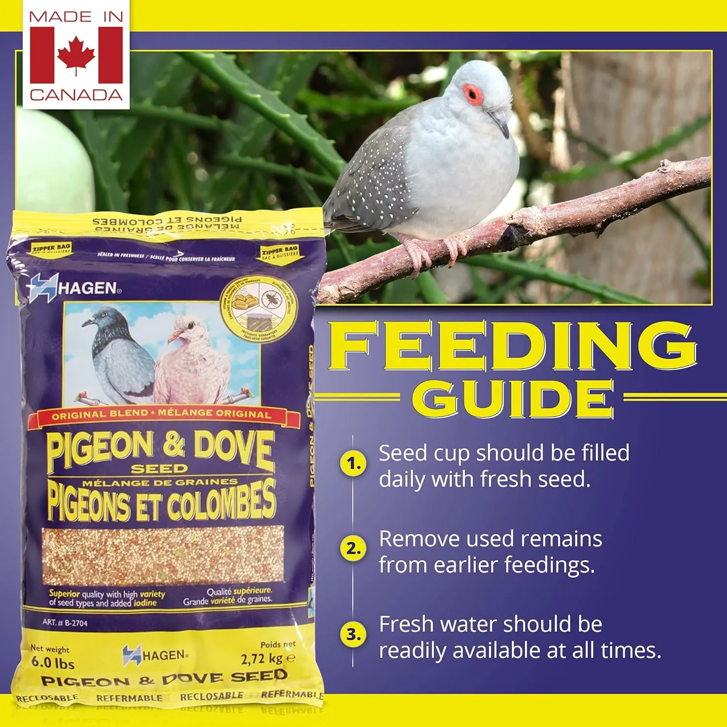 Hagen Pigeon & Dove Seed, Nutritionally Complete Bird Food, original version, 6 Pound (Pack of 1) (B2704)