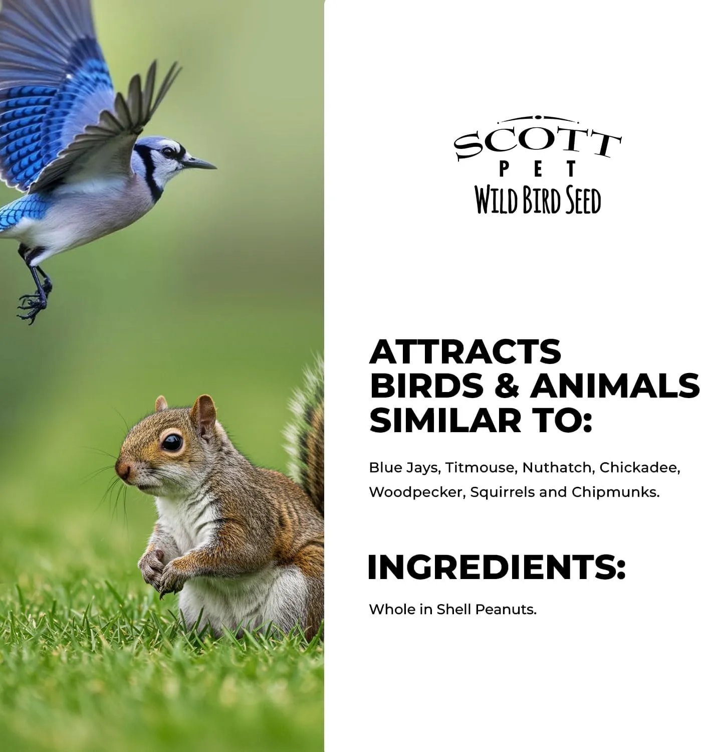 Scott Pet Wild Bird Seed, Whole Peanuts, 4 lbs Bag, No Mess, Feed, Great Source of Protein and Fiber, Peanuts for Outside Wild Birds