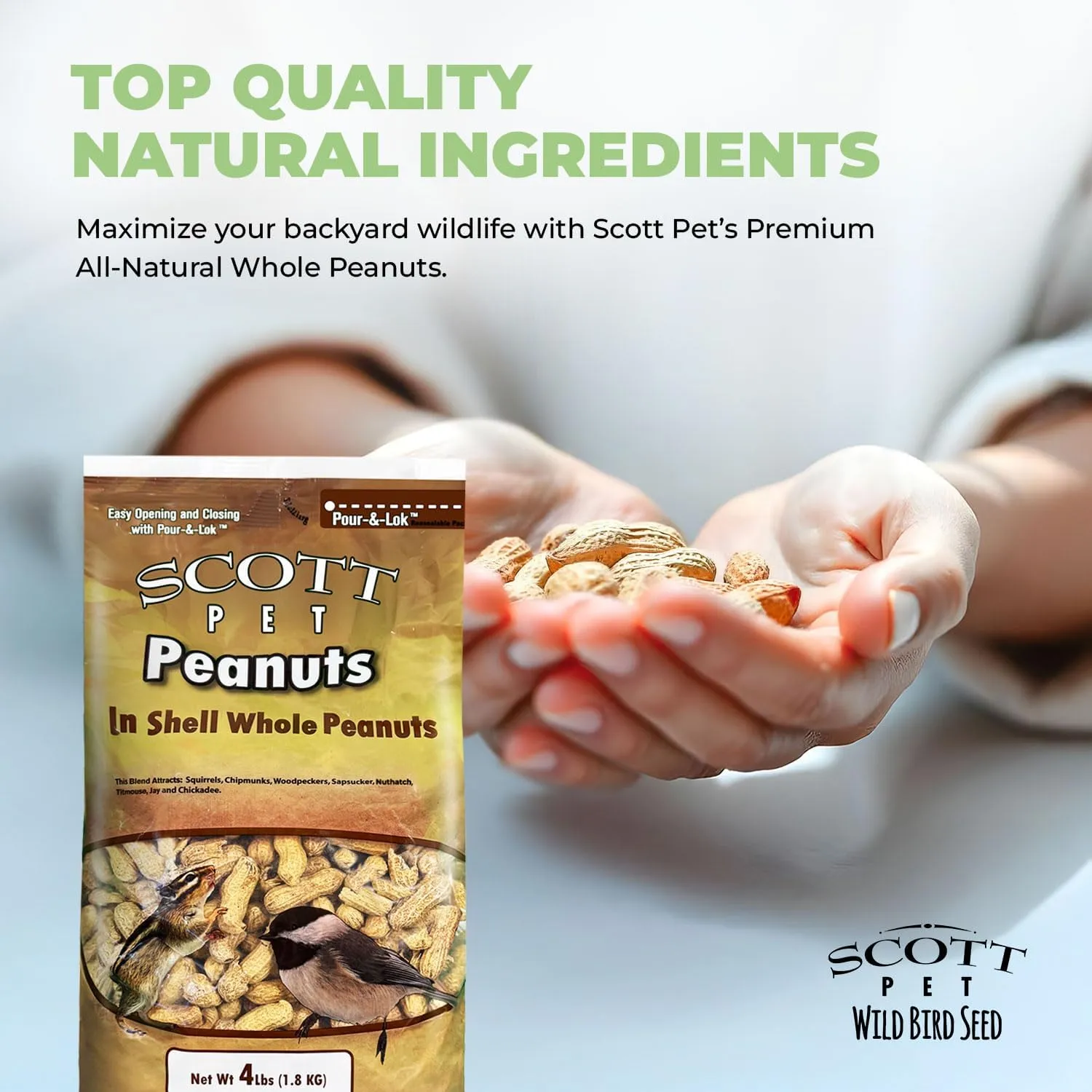 Scott Pet Wild Bird Seed, Whole Peanuts, 4 lbs Bag, No Mess, Feed, Great Source of Protein and Fiber, Peanuts for Outside Wild Birds
